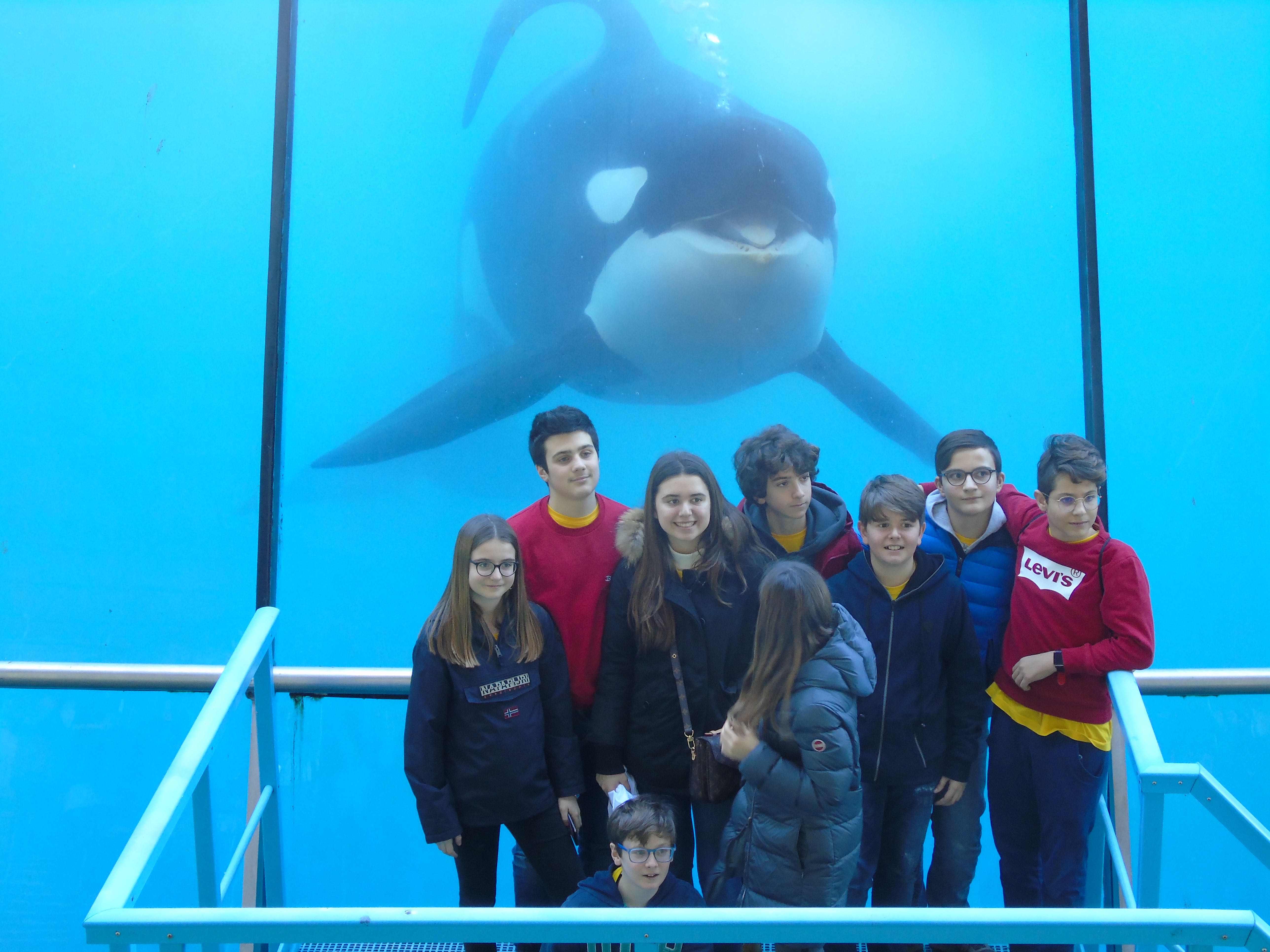 Marineland 2019